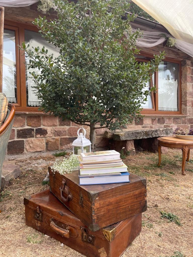 El Rincon De Golobar En * Branosera